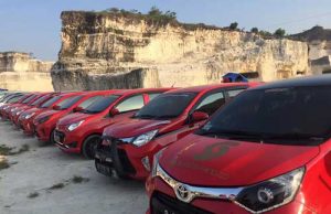 calsic jawa timur