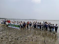 Regional-Deklarasi dan Penanaman Bibit Mangrove